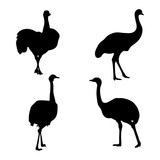 emu silhouette set of bird animal vector illustration.