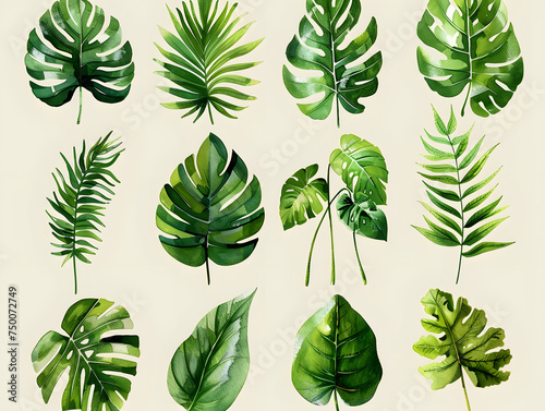 Green Leaf Art  Diverse Illustrations for Sustainable Messages
