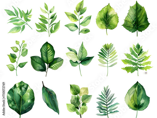 Abstract Leaf Interpretations: Expressive Art for Environmental Stewardship