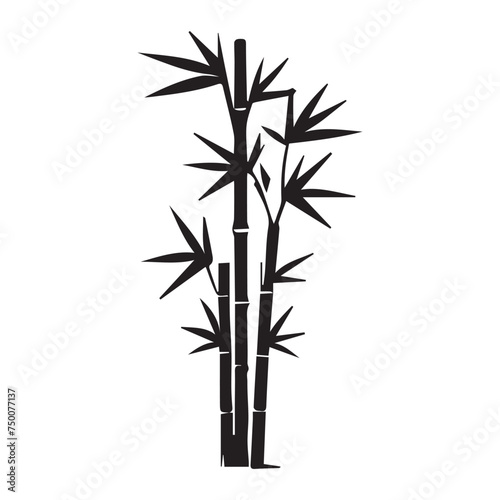 Fototapeta Naklejka Na Ścianę i Meble -  bamboo silhouette on a white background