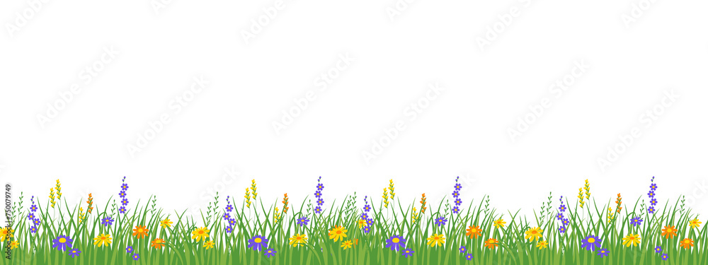 Εκτύπωση καμβά fresh spring green grass and flowers without background