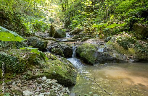 walking along the bed of a mountain river with a visit to unexplored places and sources of drinking water