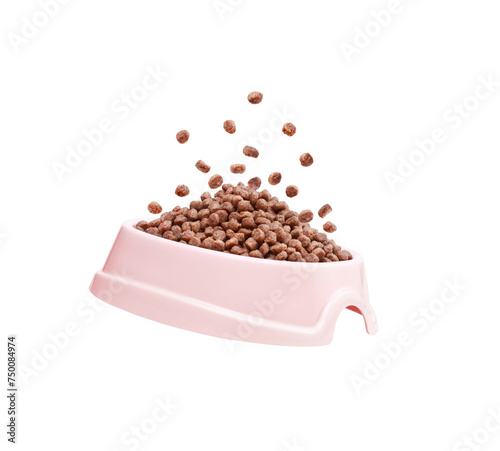 dry food for dogs of small breeds in a plastic plate