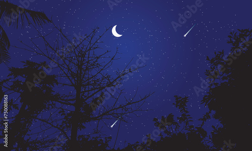 Beautiful night sky landscape in forest with moon and stars