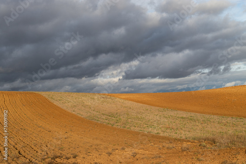 A tractor plows the field  preparing for crops. A stormy sky looms  contrasting the earthy tones of the land. A solitary tractor tills a vast field  its lines of progress marked under the ominous gaze