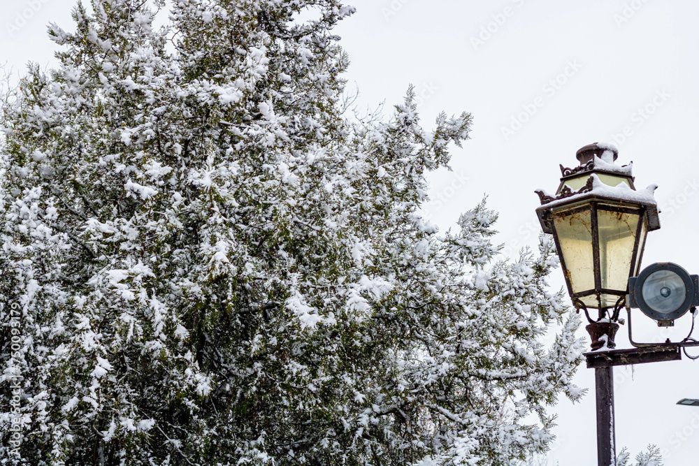 Fotografía árbol y farola con nieve.