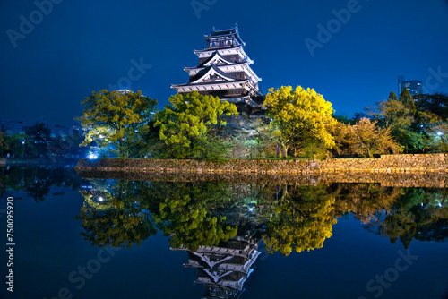 Hiroshima Castle at night with water reflections (Japan)