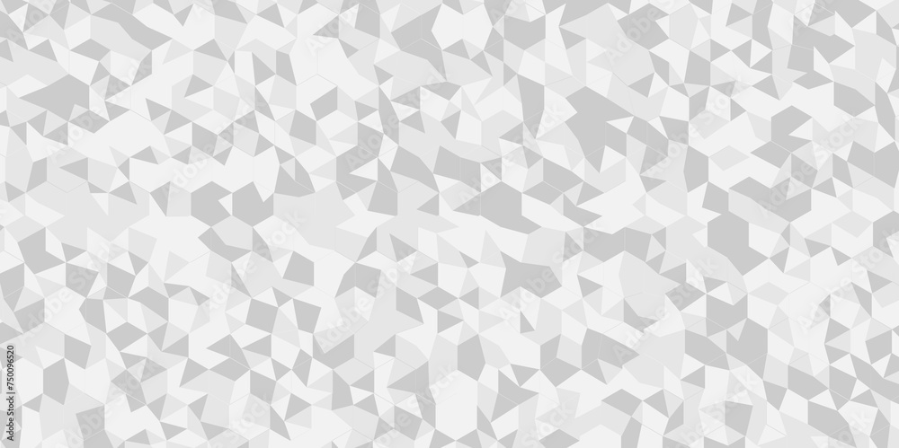 Abstract gray and white chain rough triangular low polygon backdrop background. Abstract geometric pattern gray and white Polygon Mosaic triangle Background, business and corporate background.
Abstract gray and white chain rough triangular low polygon backdrop background. Abstract geometric pattern gray and white Polygon Mosaic triangle Background, business and corporate background.