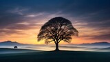 A solitary tree in the twilight, its silhouette reminiscent of ancient tales woven into the fabric of time