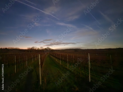 Sonnenuntergang mit Weingärten