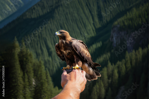 The hand of man with golden eagle among wooded mountains photo