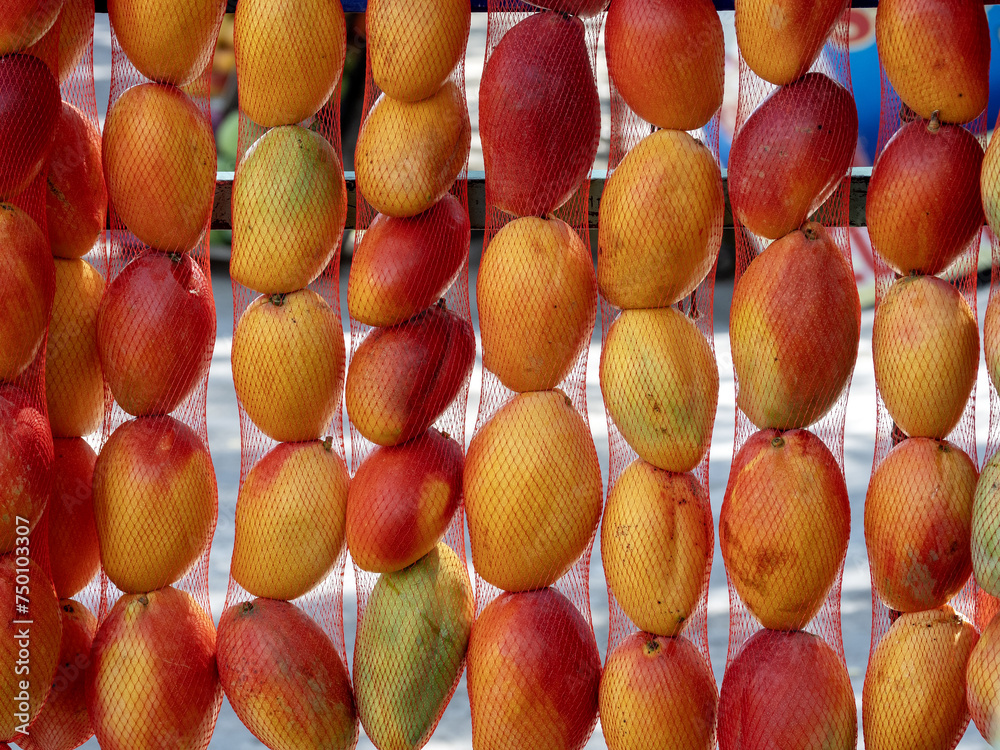 Mangoes in nets at a roadside market. Colombia