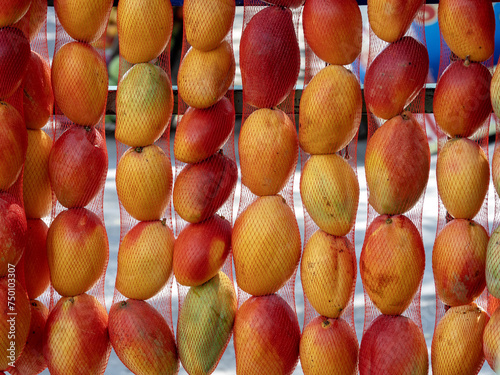 Obraz na płótnie Mangoes in nets at a roadside market. Colombia w salonie