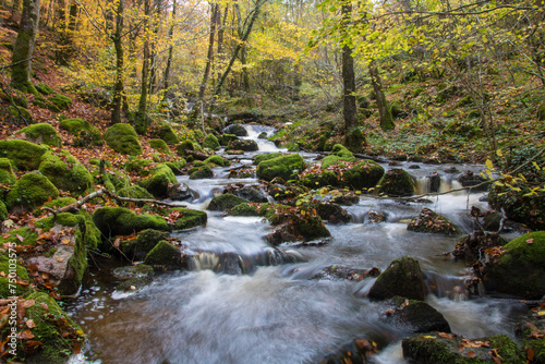 	
cascade de Brisecou près d'Autun en Bourgogne en automne	
