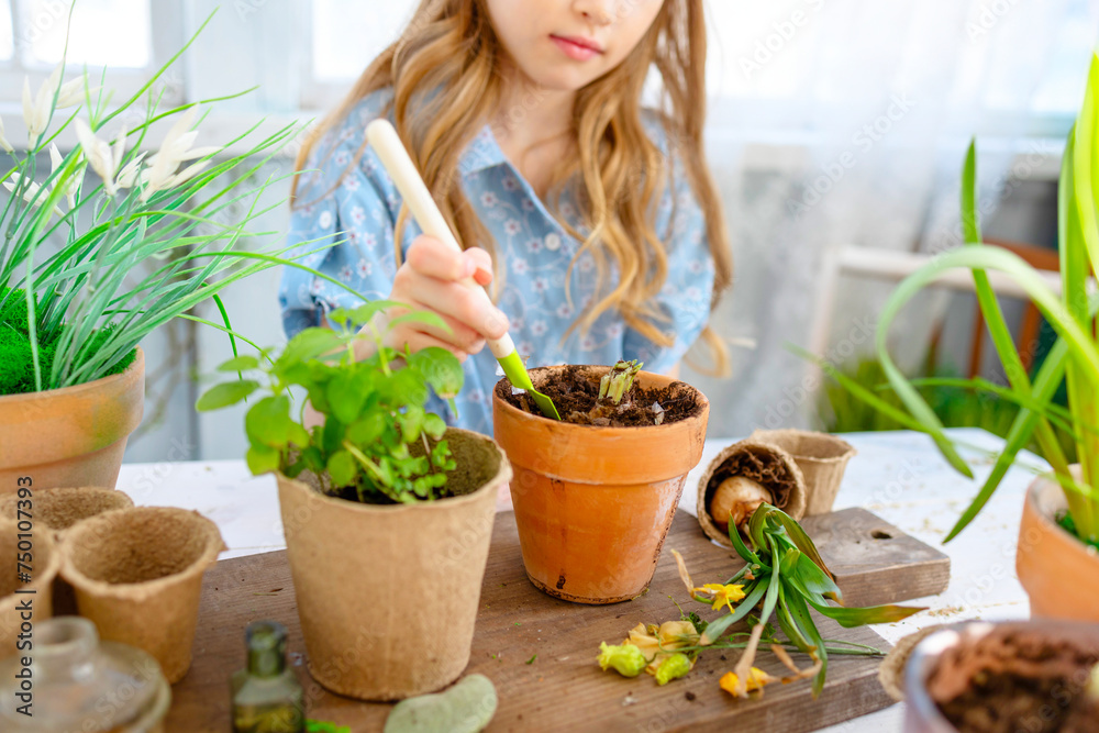 little girl planting flowers on spring terrace in home garden, seedlings growing, country house veranda little girl planting flowers on spring terrace in home garden, seedlings growing, country house veranda