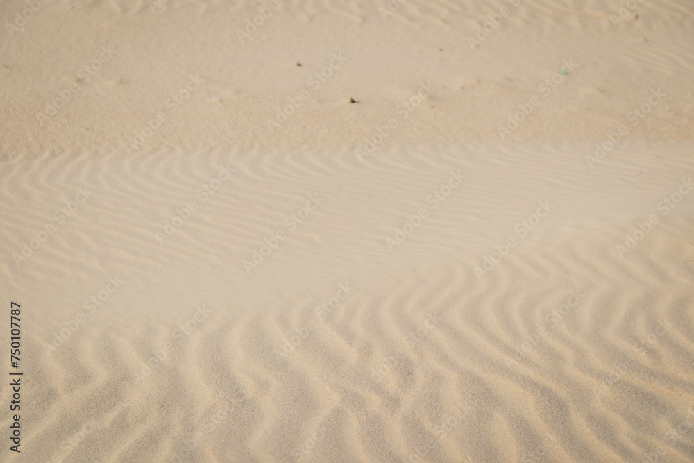 sand texture background sand texture background