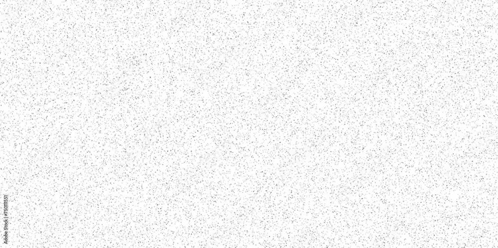Obraz premium White wall texture noise and overlay pattern terrazzo flooring texture polished stone pattern old surface marble for background. Rock stone marble backdrop textured illustration.