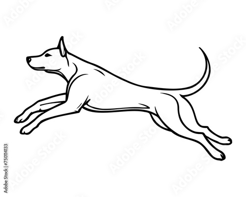 jumping dog line art, sports doggy, runner dog, healthy dog