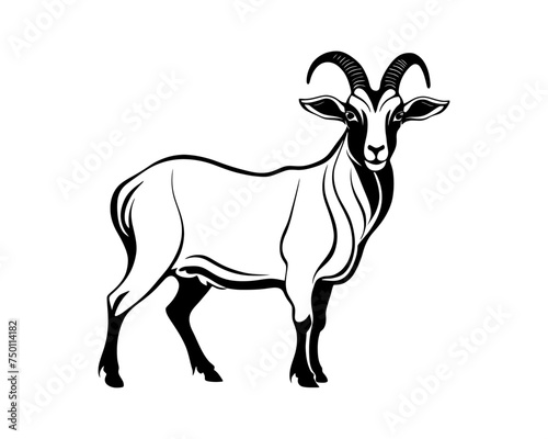 silhouette of a goat isolated on white, mutton meat, farm animal, milk, horns, cattle, herd, village