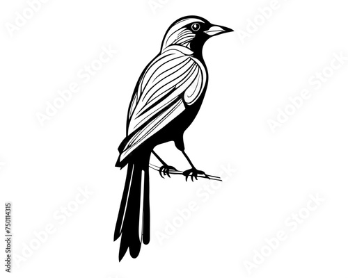 small flying bird on a branch line art silhouette