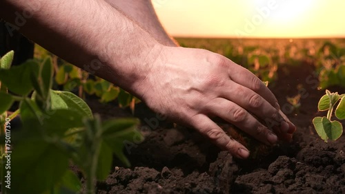 farmer hands hold soil earth sunset. agriculture. Engineer checks soil fertility with argon. business ricks employee land agro company. farmer hands pouring earth sunset. modern agro farm eco. eco photo