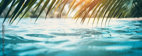 "Abstract Beach Background: Palm Leaf Shadow on Water for the Perfect Vacation Vibe". Concept Vacation, Beach Background, Abstract, Palm Leaf Shadow, Water