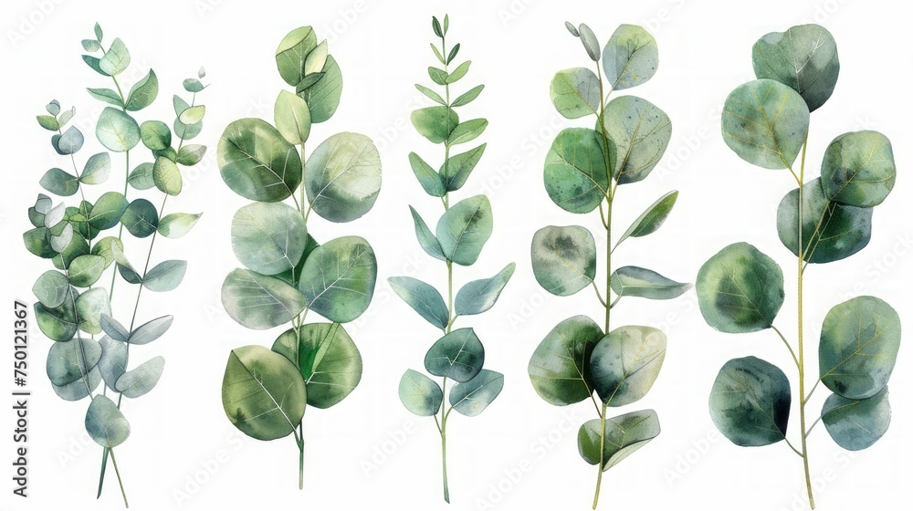 Hand-drawn Green Eucalyptus Tree Aroma Plant Watercolor Illustration Generative AI