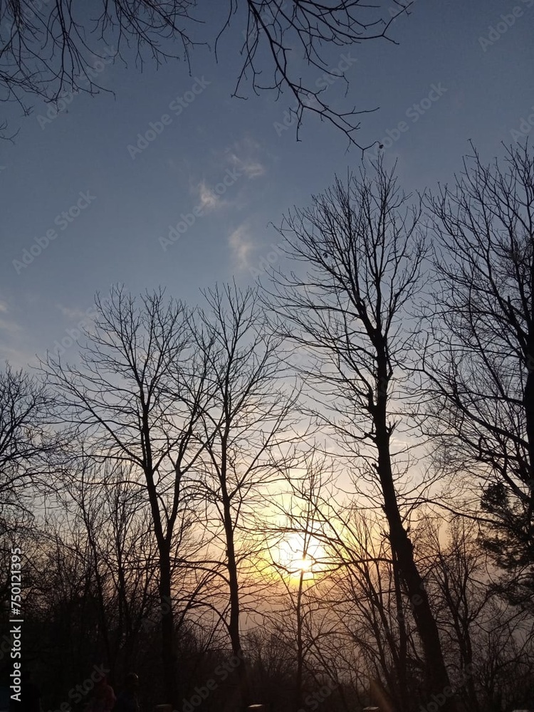 Beautiful nature sunset and woods scenic views Beautiful nature sunset and woods scenic views