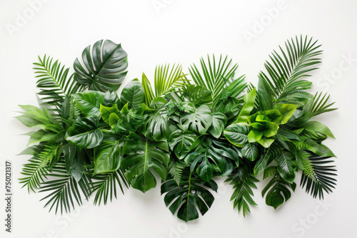 A modern arrangement of lush green leaves adorning a white wall