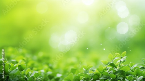 A natural green background is accentuated with selective focus. © Shabnam