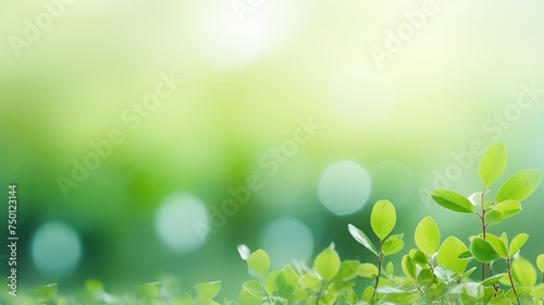 A natural green background is accentuated with selective focus.