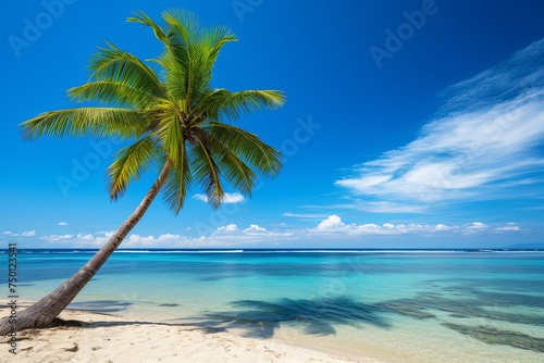 Summer holiday vacation and Maldives island sea tropical beach with palm tree in blue sky background © pixeness