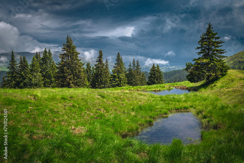 Small lakes on the green meadow at rainy day