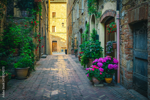 Cozy narrow street decorated with flowers and green plants, Italy © janoka82