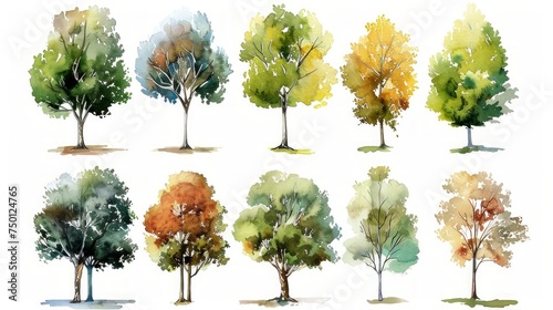 Tranquil Watercolor Set of Trees Generative AI © Alex