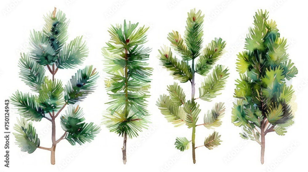 Pine Tree Watercolor Illustration with Flowers on White Background Generative AI