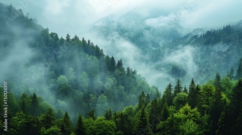 Stunning Landscape of Trees in the Mountains Generative AI photo