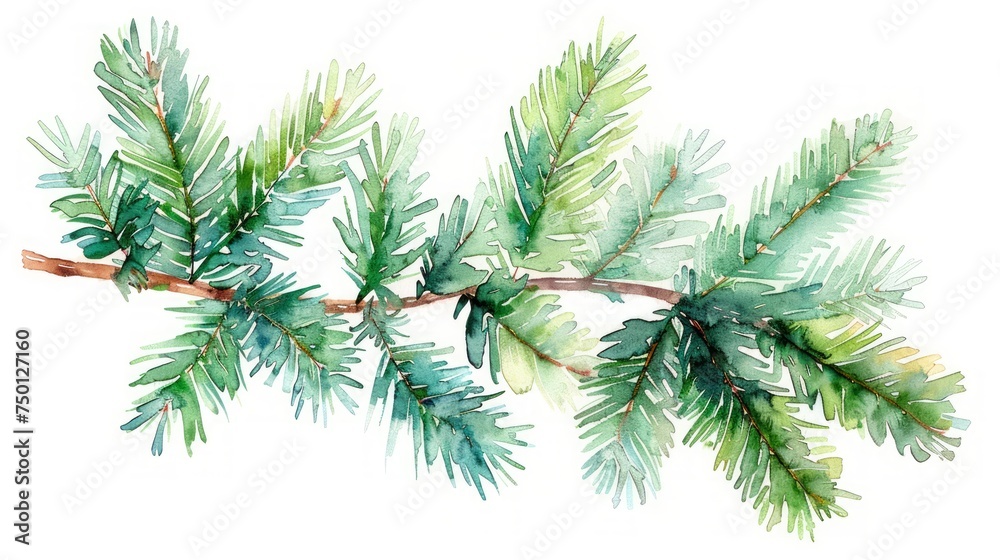 Obraz premium Hand Drawn Watercolor Fir Branch Illustration Generative AI