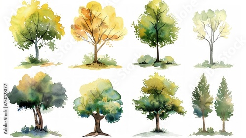 Hand Drawn Watercolor Tree Collection for Forests Generative AI © Alex
