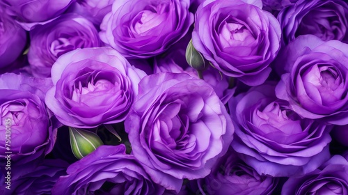 Close-up macro shot showcases violet eustoma flowers  highlighting their delicate beauty.