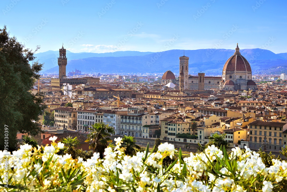 View over the beautiful city of Florence with flowers in foreground, Italy