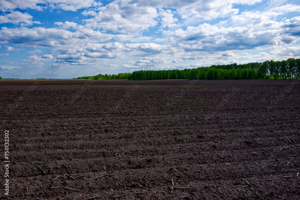 Rows in soil prepared for planting under the sky. Rows in soil prepared for planting under the sky.