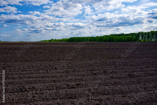 Rows in soil prepared for planting under the sky.