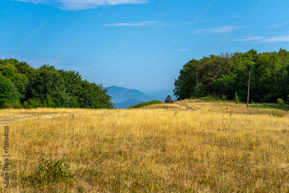 Panoramic view of Khust valley, Carpathian mountains, Ukraine