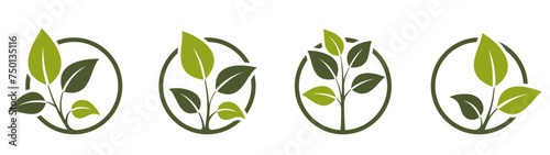 eco friendly icon set. sprout in a circle. organic and botanical symbols. isolated vector images