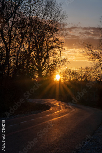 Natural street magic. Golden glow   sunset on curvy road and bare tree branches. 