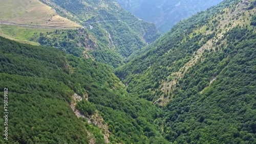 mountain valley with trees and a road. View from drone