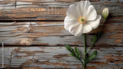 a white flower sitting on top of a piece of wood next to a green stem and a white flower on top of a piece of wood. photo
