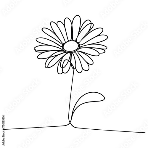Chamomile One line drawing art. Vector illustration