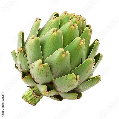 Artichoke isolated on white or transparent background